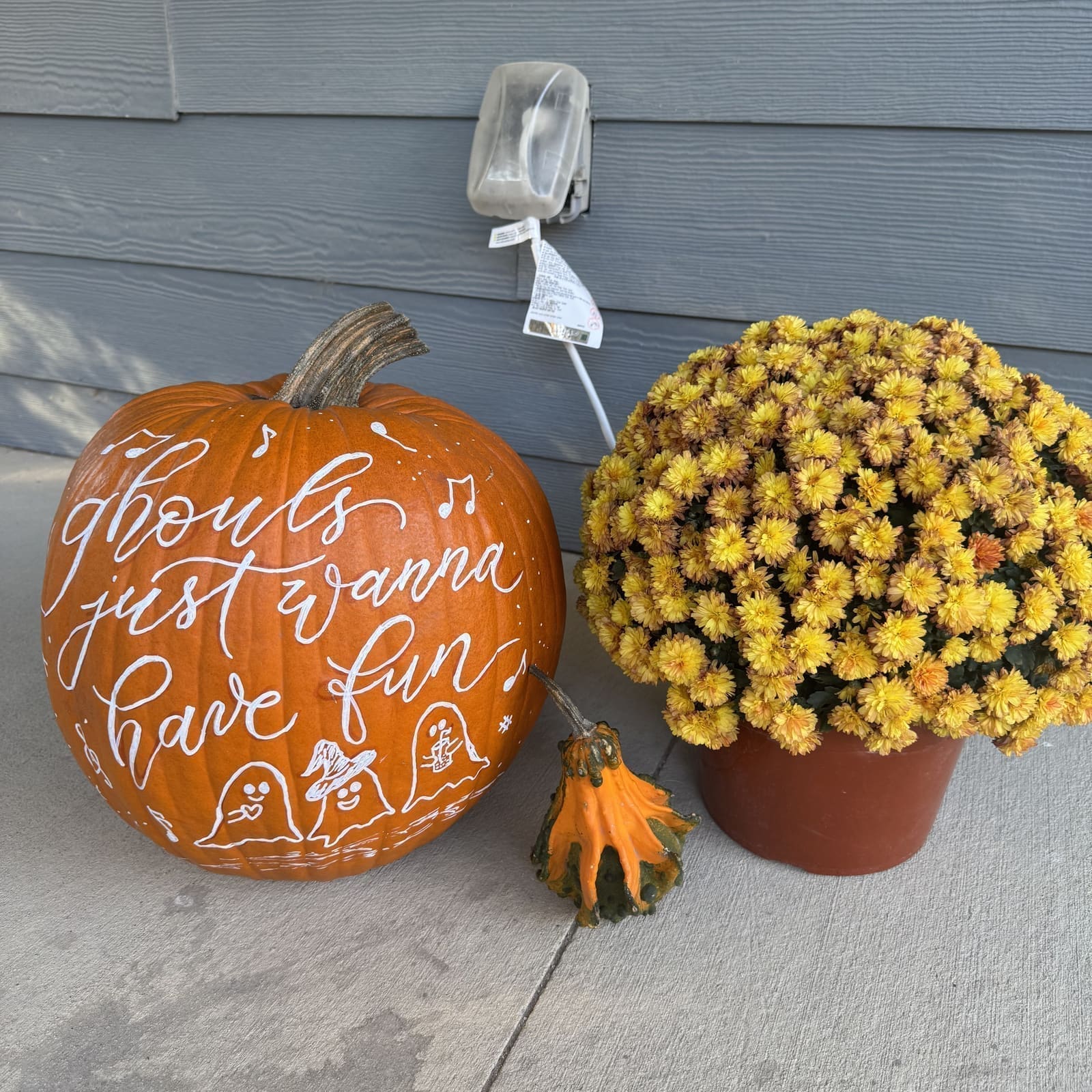 Hand-lettered pumpkin reading 'ghouls just wanna have fun' with painted ghost illustrations